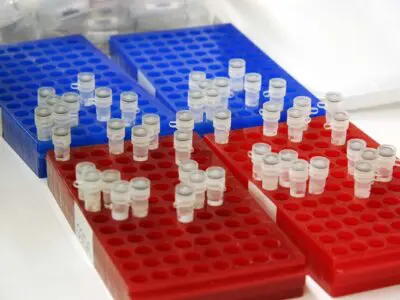 test tube vials in blue & red holders