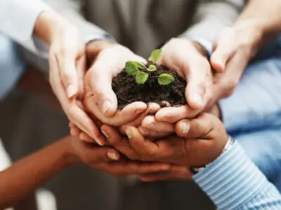 a community of hands holding a plant