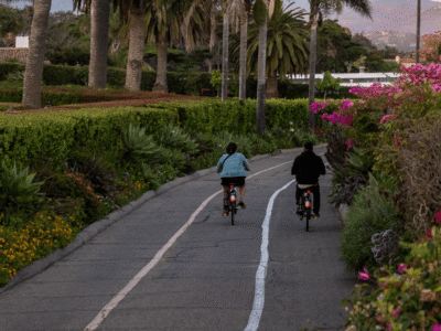 Two people ride bicycles along a paved coastal path lined with palm trees, colorful flowers, and lush greenery at sunset. To the right, a beach and ocean stretch into the distance beneath a soft pastel sky, with mountains visible on the horizon