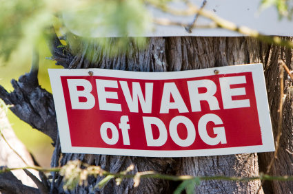 red & white beware of dog sign