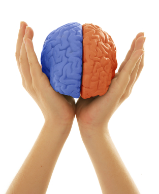 blue & orange brain being held in hands