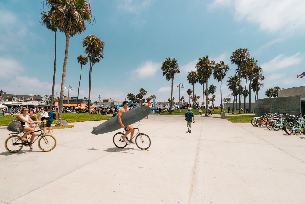 bicyclists riding on the beach with palm trees