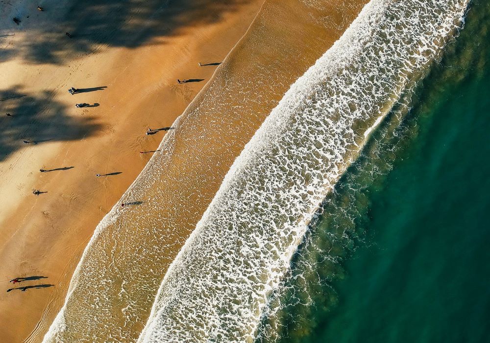 aerial view of beach, shoreline, and ocean