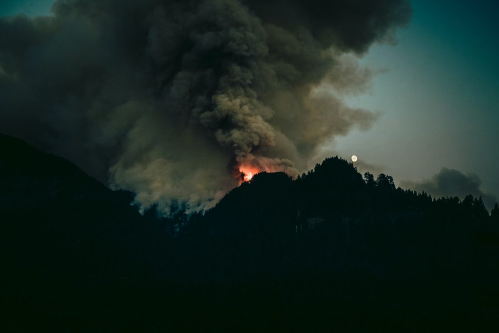 burning wildfire with flames and thick smoke